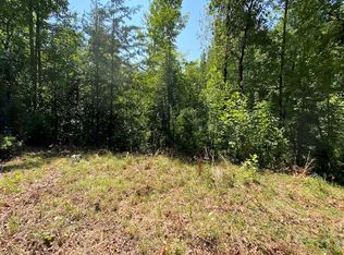 3 Red Dog Ln, Whittier, NC 28789