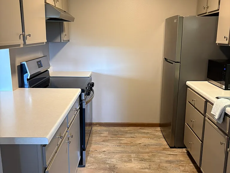Kitchen with all brand new stainless steel appliances