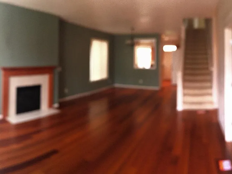 Living/dining