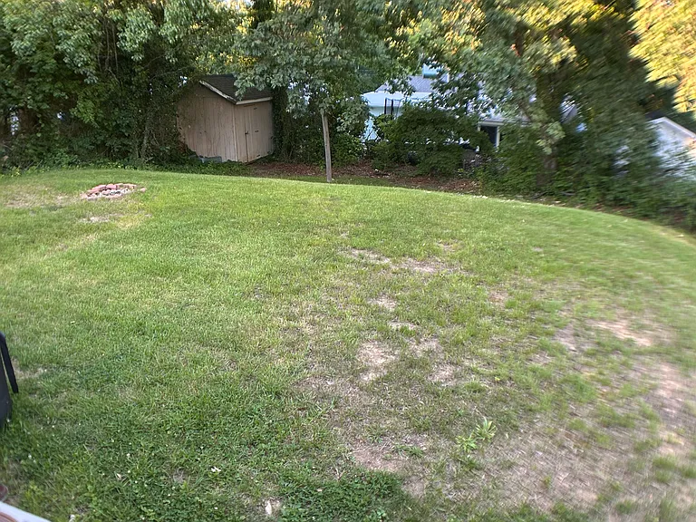 Spacious back yard with shade trees. Shed hidden in the corner