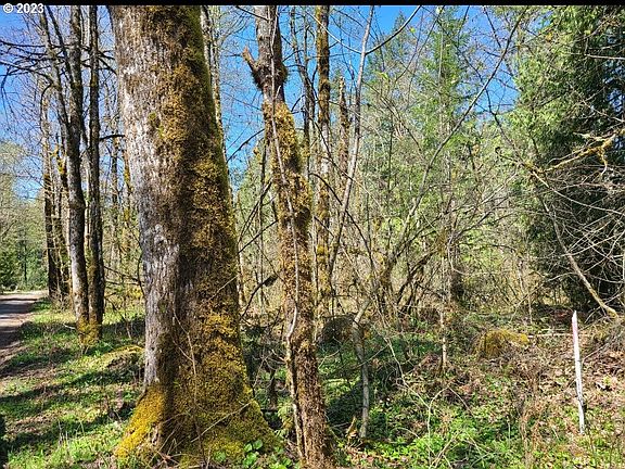 2nd image of E Huckleberry Dr