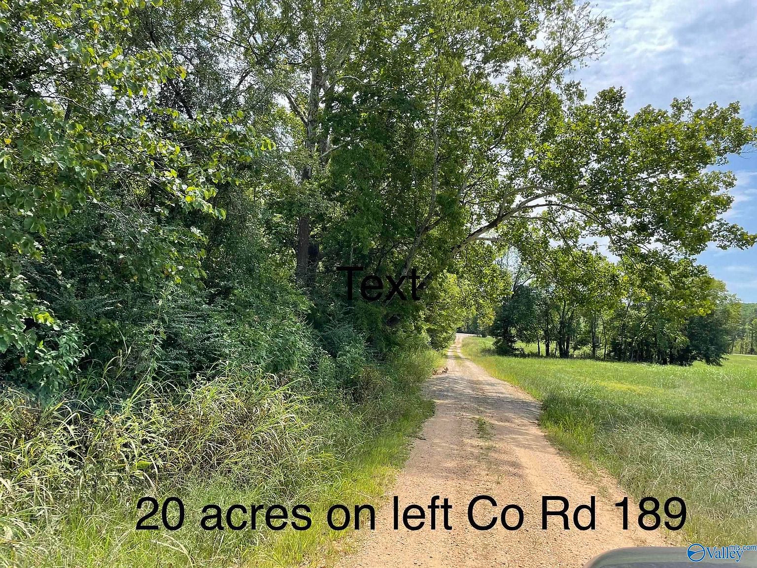 County Road 189, Moulton, AL 35650 MLS 21843776 Zillow
