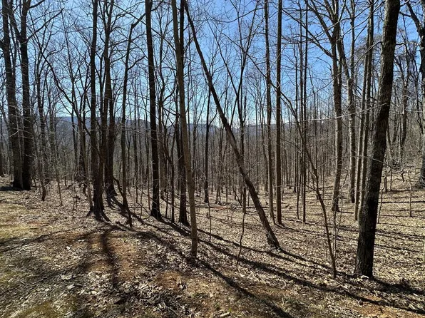 7 Eagle Point, Franklin, NC 28734