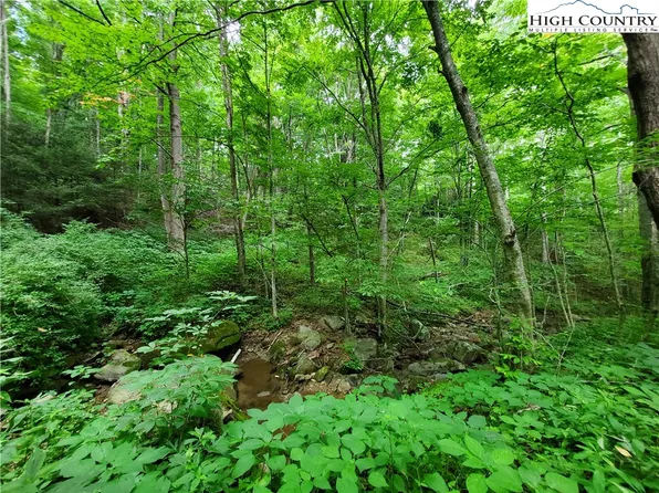 00 Pilot Ridge Road, Blowing Rock, NC 28605