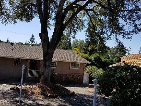 Front, beautiful oak tree