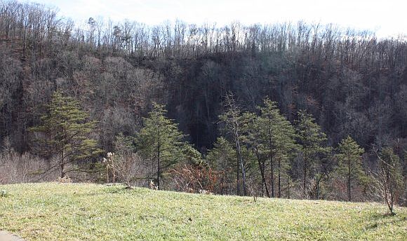 2nd image of 832 Trammell Rd
