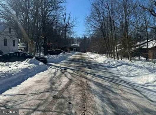 2nd image of 115 Blackfoot Ln