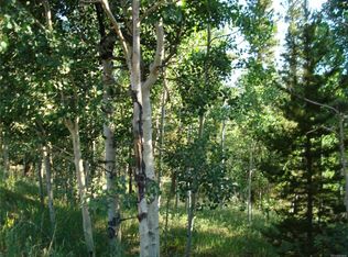 183 Miners Way, Bailey, CO 80421