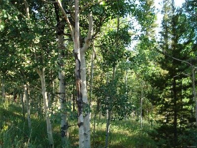 183 Miners Way, Bailey, CO, 80421