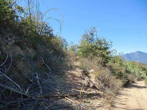 2nd image of 20 Acres Painter Way