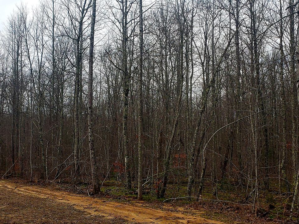 1st image of Lot 1006 Spruce Creek Dr Lot 1006