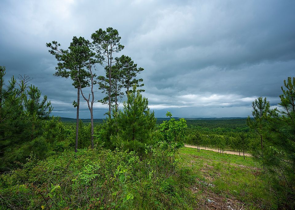 2nd image of 14 Woodland Bluffs Trl Lot 14