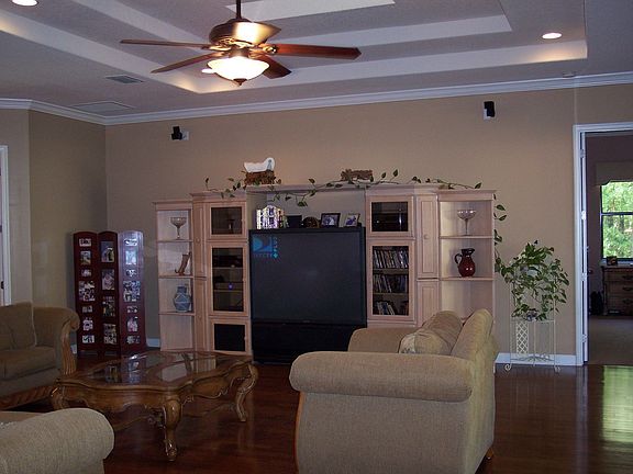 Trey ceiling in Great Room