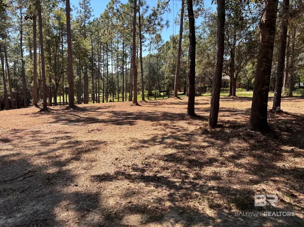 0 Water View Dr W, Loxley, AL 36551