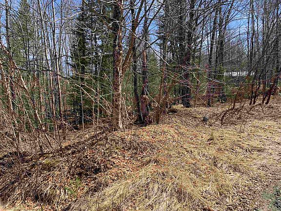 2nd image of 4 Washburn Road