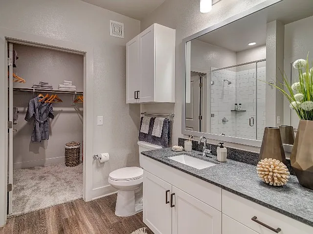 Model Apartment Home Bathroom