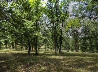 1 State Hwy #160, Walnut Shade, MO 65771