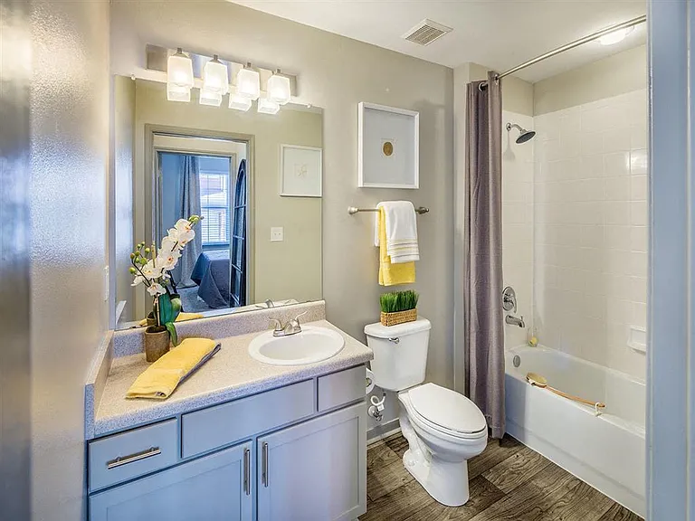 Bathroom with sink, toilet and shower/tub