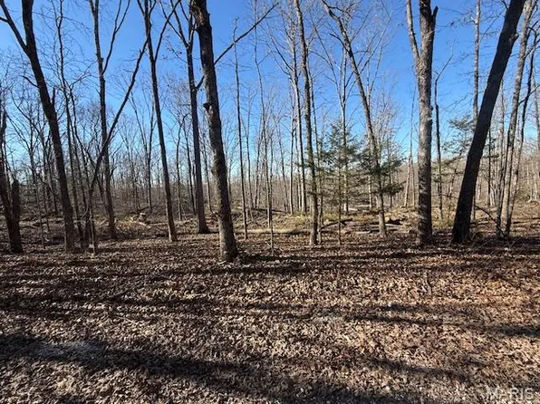 County Road 4110, Rolla, MO 65401