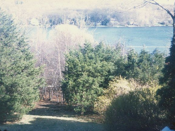 rear-view, early spring