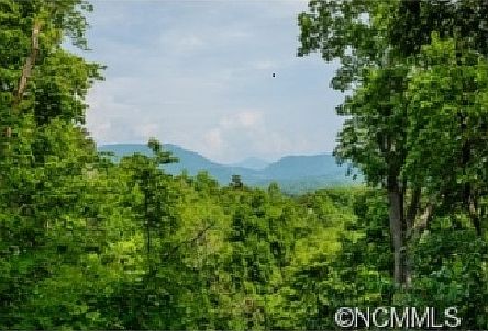 Lot--.59 acres