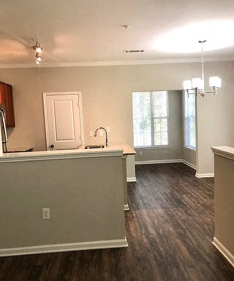 The Pointe at Suwanee Station — Photo 49