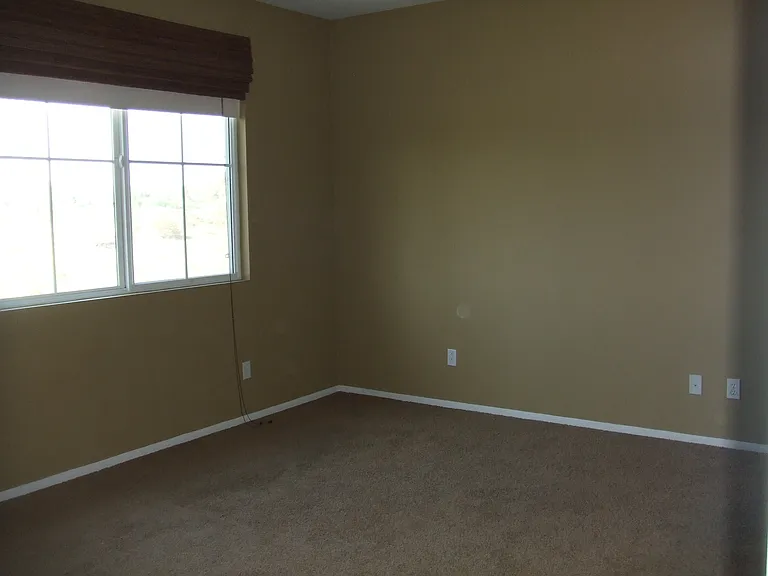 31136 Strawberry Tree Ln — Photo 8