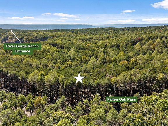 3rd image of 2160 Fallen Oak Pass Lot 2160