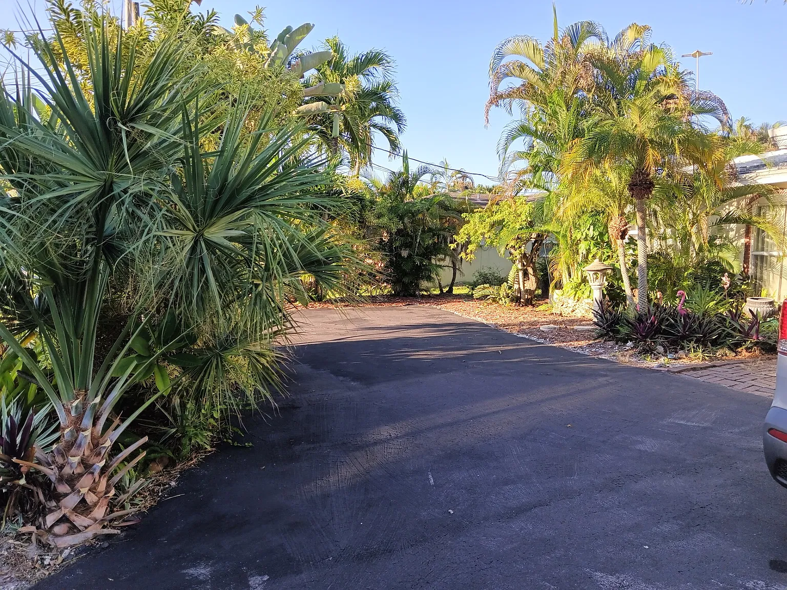 3 bed, 1599 sqft, $4,800 — Photo 3