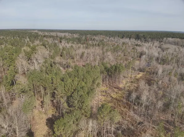 34-19-16 Laney Rd, Junction City, AR 71749