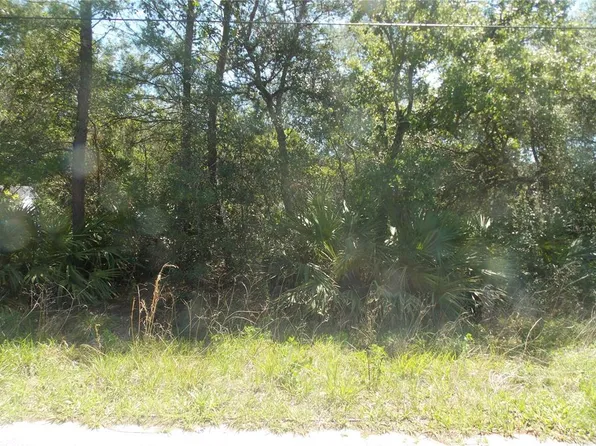 Cedar St Lot 8, Paisley, FL 32767