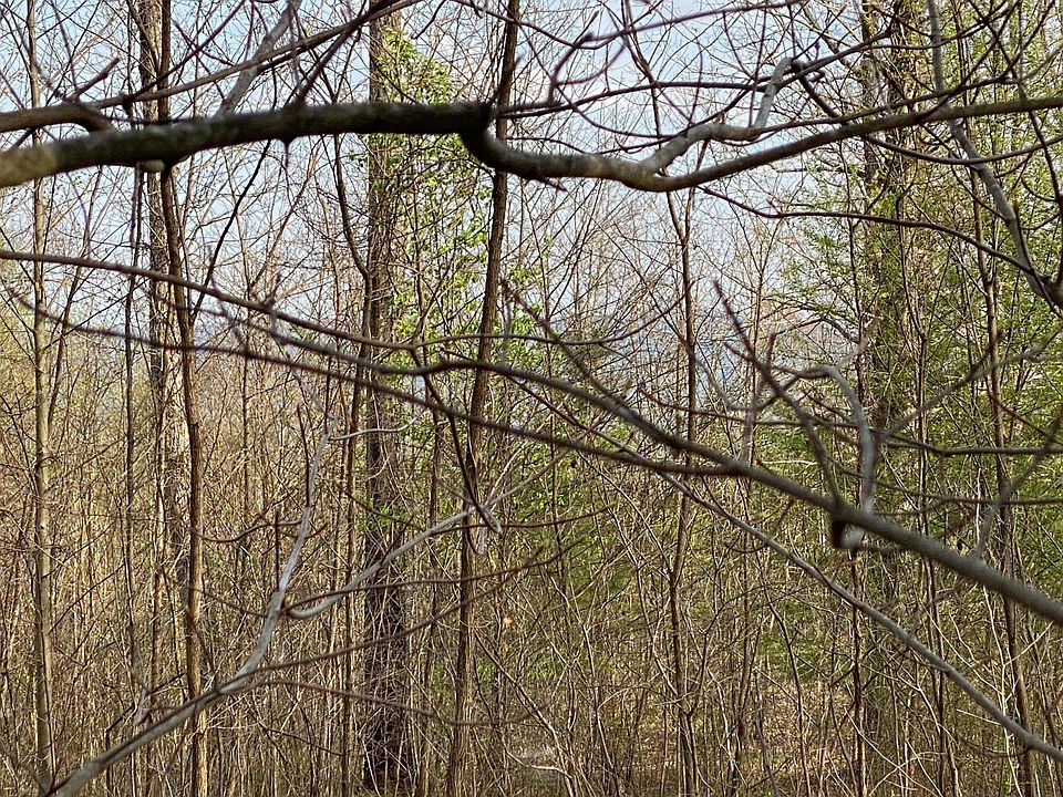 1st image of 5 Mountain Lake Dr Lot 5