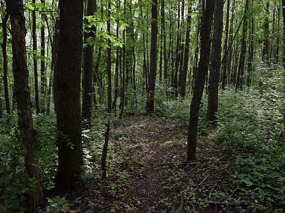 4th image of 19 Deer Run Dr