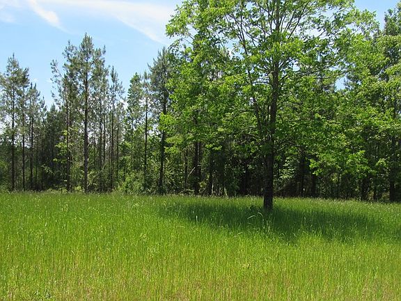 4th image of 9849 Highway 43 N
