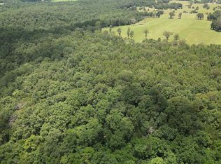 881 Driftwood Dr, Pineville, AR 72566