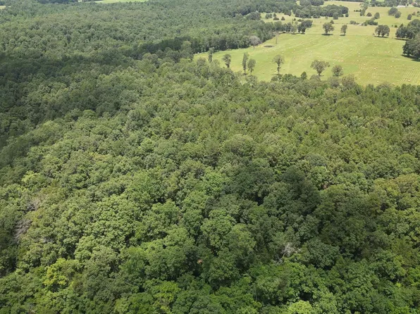 881 Driftwood Dr, Pineville, AR 72566