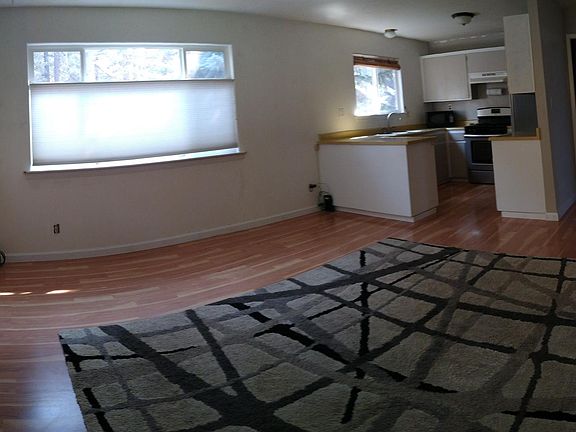 Sunny living room and kitchen