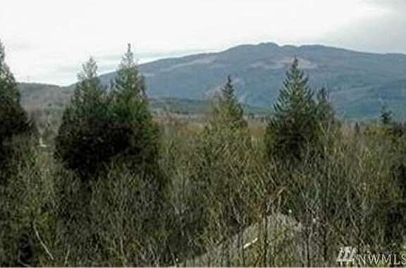 4th image of W Alder Dr