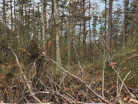 4th image of 11901 Price Rd NE