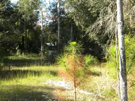 2nd image of 9110 NW 127th Ct