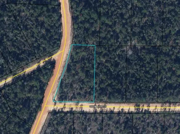 Odum St, Alford, FL 32420