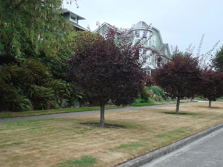 Home at the Other End of the 28th Street Block. Beautiful Vintage Neighborhood.