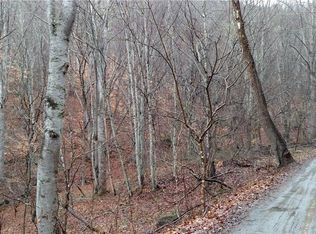 00 Woody Cv, Clyde, NC 28721