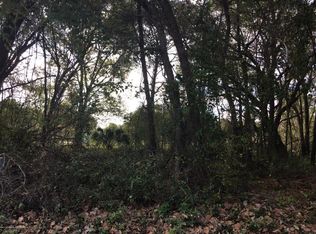 1007 Stetson Ter, Inverness, FL 34450