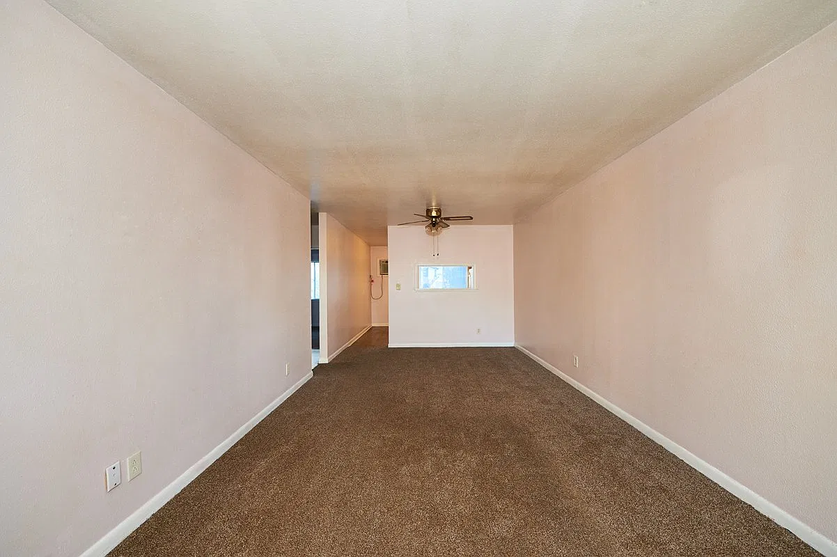 2 bed, 1.0 bath, 920 sqft, $1,000 — Photo 4