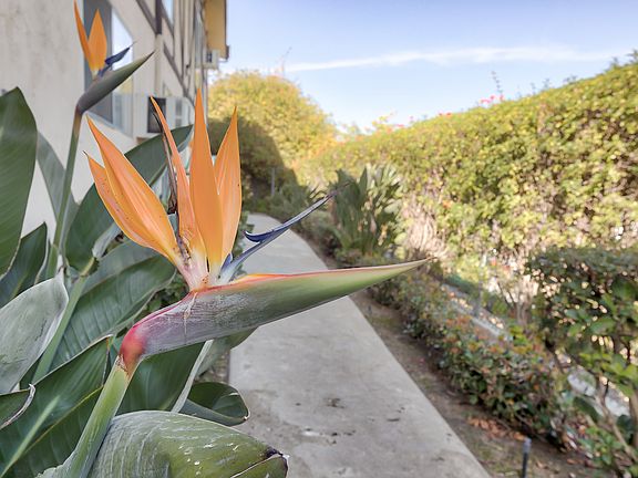 5th image of 6850 Doriana St #6