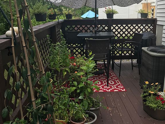 Large back deck