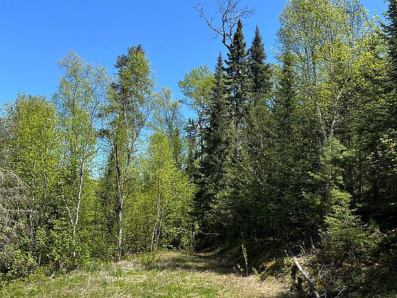 3rd image of 73 Tofte Cabin Tr