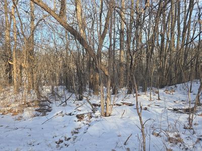 9492 N Shore Trl N, Forest Lake, MN, 55025