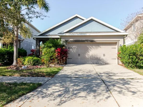 6516 Salt Creek Ave, Apollo Beach, FL 33572